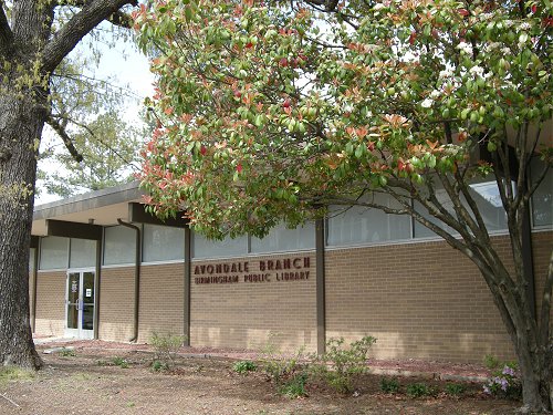 The Avondale Neighborhood